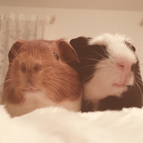 Hey guys it’s me Tessa! 😜 - Picture 3 of 5